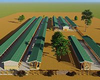 200 Diary Cow Design Midrange