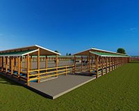 500 Bulls Feedlot Design Plan Budget