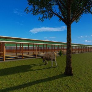 500 Bulls Feedlot Design Plan Midrange
