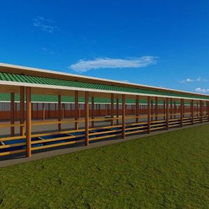 500 Bulls Feedlot Design Plan Midrange