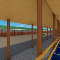 500 Bulls Feedlot Design Plan Budget