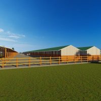 500 Bulls Feedlot Design Plan Budget