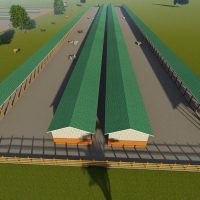 500 Bulls Feedlot Design Plan Budget