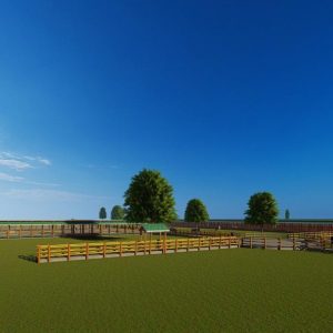 500 Bulls Feedlot Design Plan Midrange