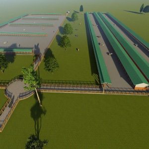 500 Bulls Feedlot Design Plan Midrange