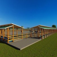 500 Bulls Feedlot Design Plan Budget