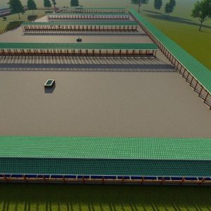 500 Bulls Feedlot Design Plan Midrange