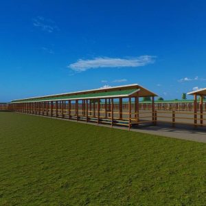 500 Bulls Feedlot Design Plan Midrange