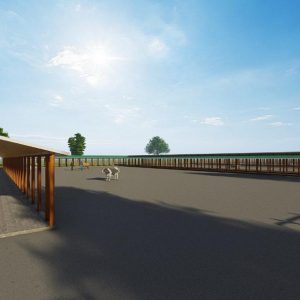 500 Bulls Feedlot Design Plan Midrange