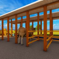 5 Dairy Cow’s Structure Design Plan Midrange