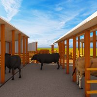 5 Dairy Cow’s Structure Design Plan Midrange