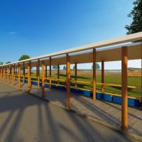 200 Diary Cow Design Midrange