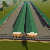 200 Diary Cow Design Midrange