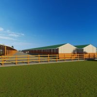 200 Diary Cow Design Midrange