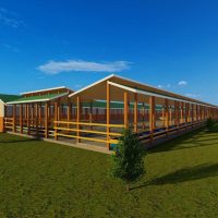 200 Diary Cow Design Midrange