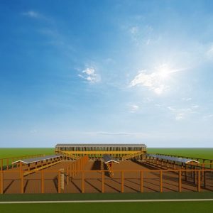 300 Goats/sheep design plan- zero grazing Premium
