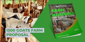 1500 goats Free Range business proposal