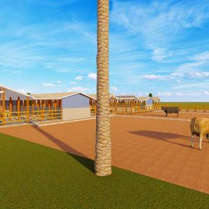 70 Dairy Cows Structure Design Plan Budget