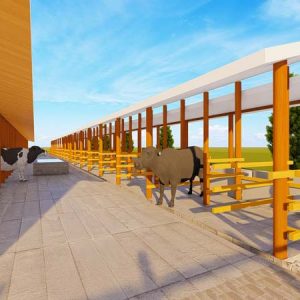 70 Dairy Cows Structure Design Plan Budget
