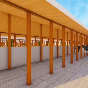 70 Dairy Cows Structure Design Plan Budget