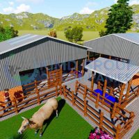 WhatsApp Image 2024-08-14 at 05.45.43 10 Dairy Cows Structure