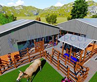 10-dairy-cows 10 Dairy Cows Structure