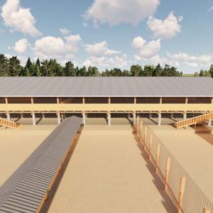 2000 Goats Structure Design Plan Zero Grazing Midrange
