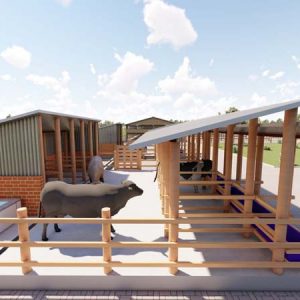 2000 Goats Structure Design Plan Zero Grazing Midrange