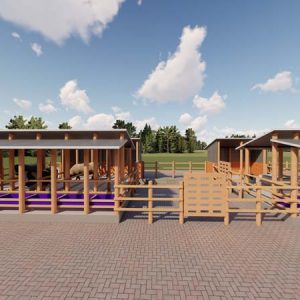 2000 Goats Structure Design Plan Zero Grazing Midrange
