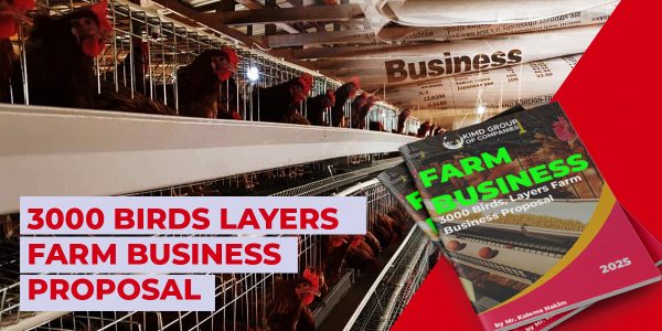 3000 Layer Birds Business Proposal