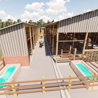 40 Dairy Cows Structure