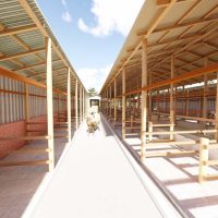 40 Dairy Cows Structure