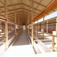 40 Dairy Cows Structure