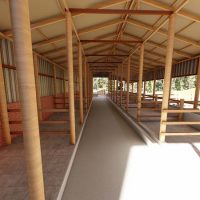 40 Dairy Cows Structure