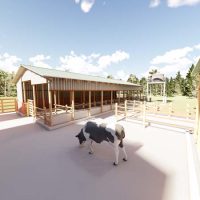 40 Dairy Cows Structure