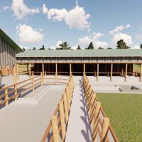 40 Dairy Cows Structure