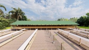 400 Goats/sheep design plan- zero grazing Premium