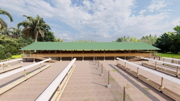 400 Goats/sheep design plan- zero grazing budget