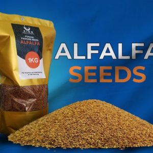 Pasture Seeds ( Alfa Alfa, Bracharia Mulato, Chloris Gayana)