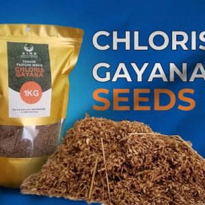 Pasture Seeds ( Alfa Alfa, Bracharia Mulato, Chloris Gayana)