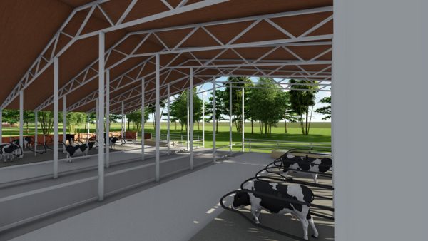 50 Dairy Cow’s Structure Design Plan