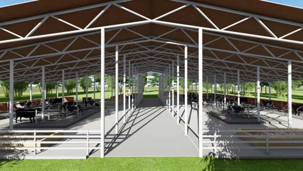 50 Dairy Cow’s Structure Design Plan