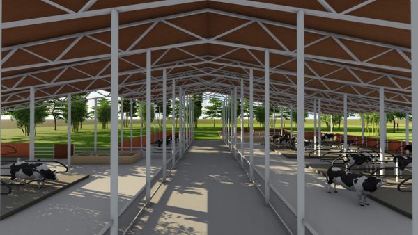 50 Dairy Cow’s Structure Design Plan