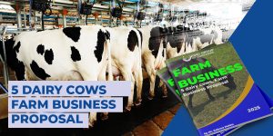 5 Diary cows Business proposals