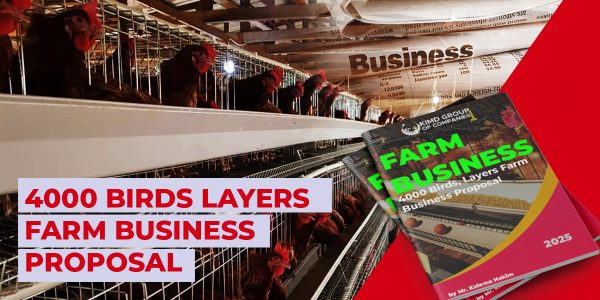 4000 Layer Birds Business Proposal