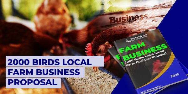 2000 Local Birds Business Proposal