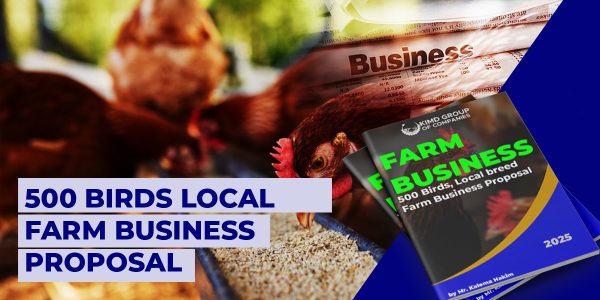 500 Local Birds Business Proposal