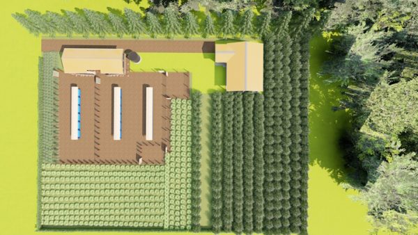 2 acres Agri tourism goats farm