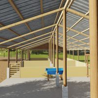 20 Ostriches Structure Design Premium