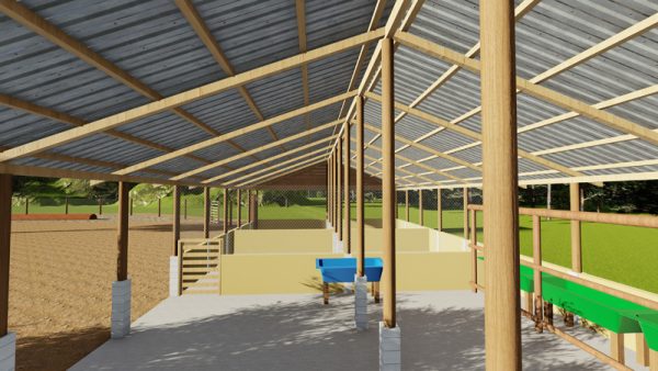 20 Ostriches Structure Design Premium
